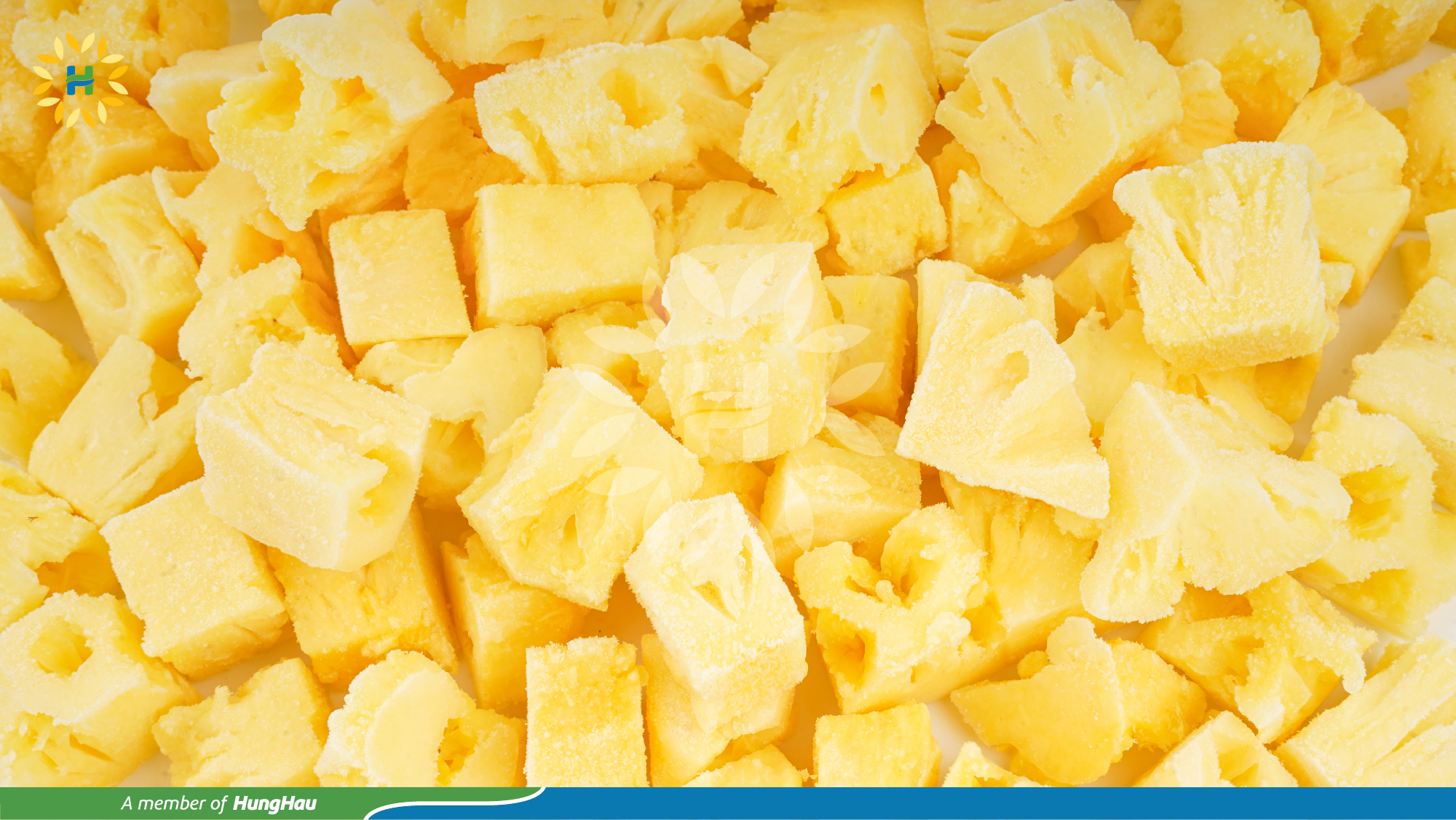 HHF_Hang Dong_Khom dice .jpg