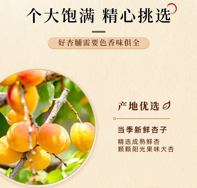 红杏干详情-500g新包装_04.jpg