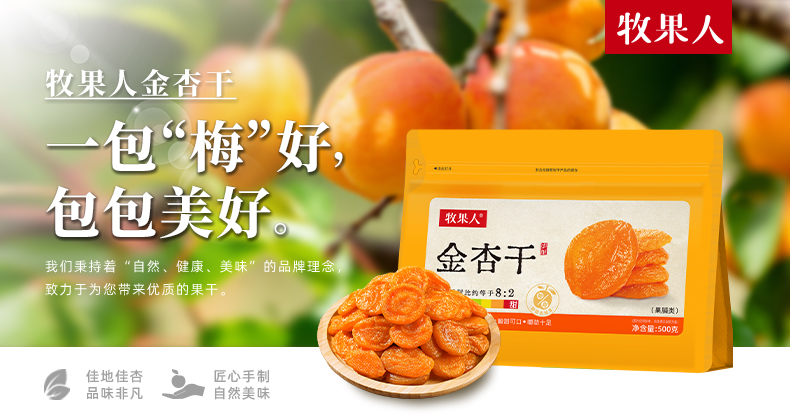 金杏干详情-500g新包装_01.jpg