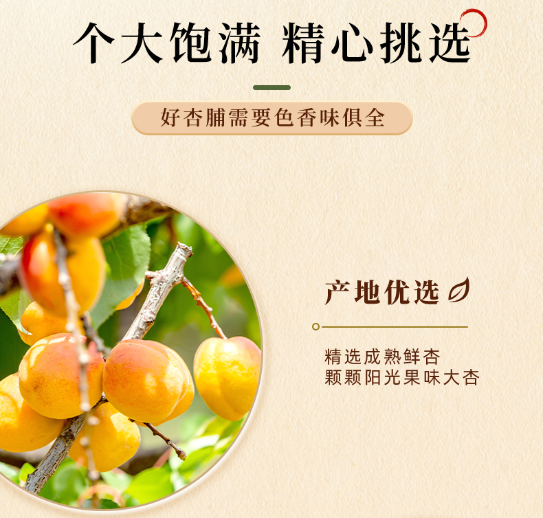 金杏干详情-500g新包装_04.jpg