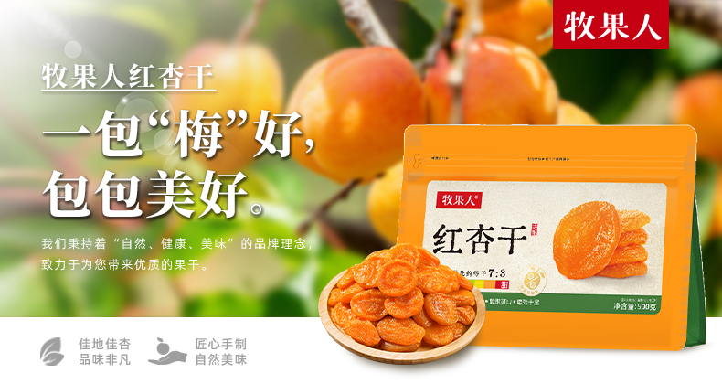 红杏干详情-500g新包装_01.jpg