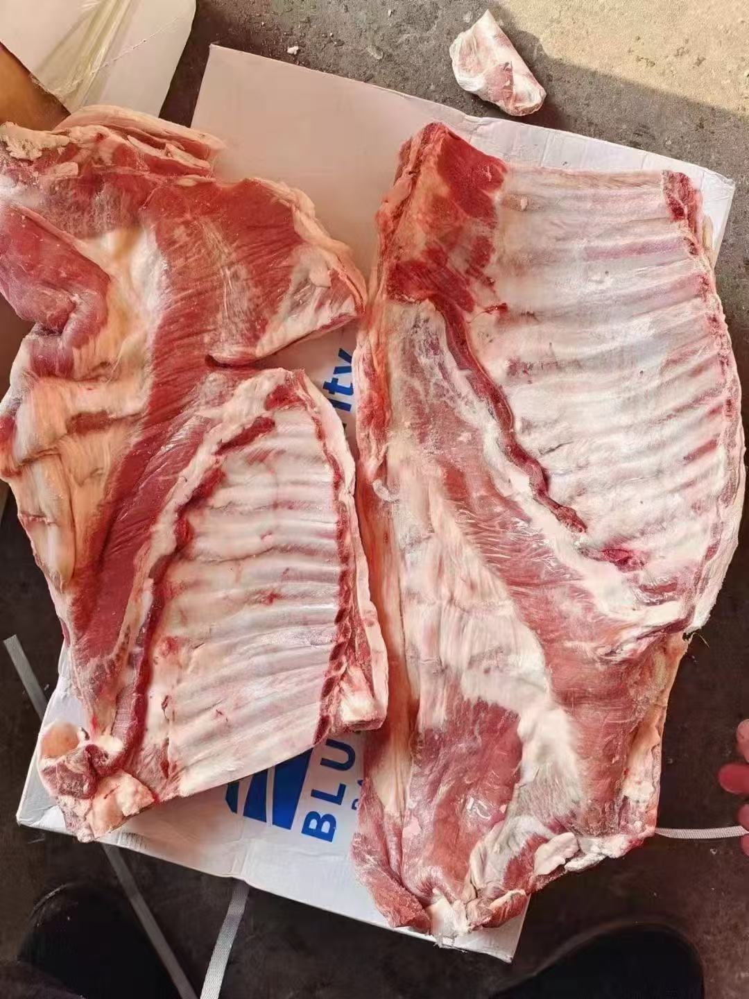 冷冻带骨羔羊排80厂