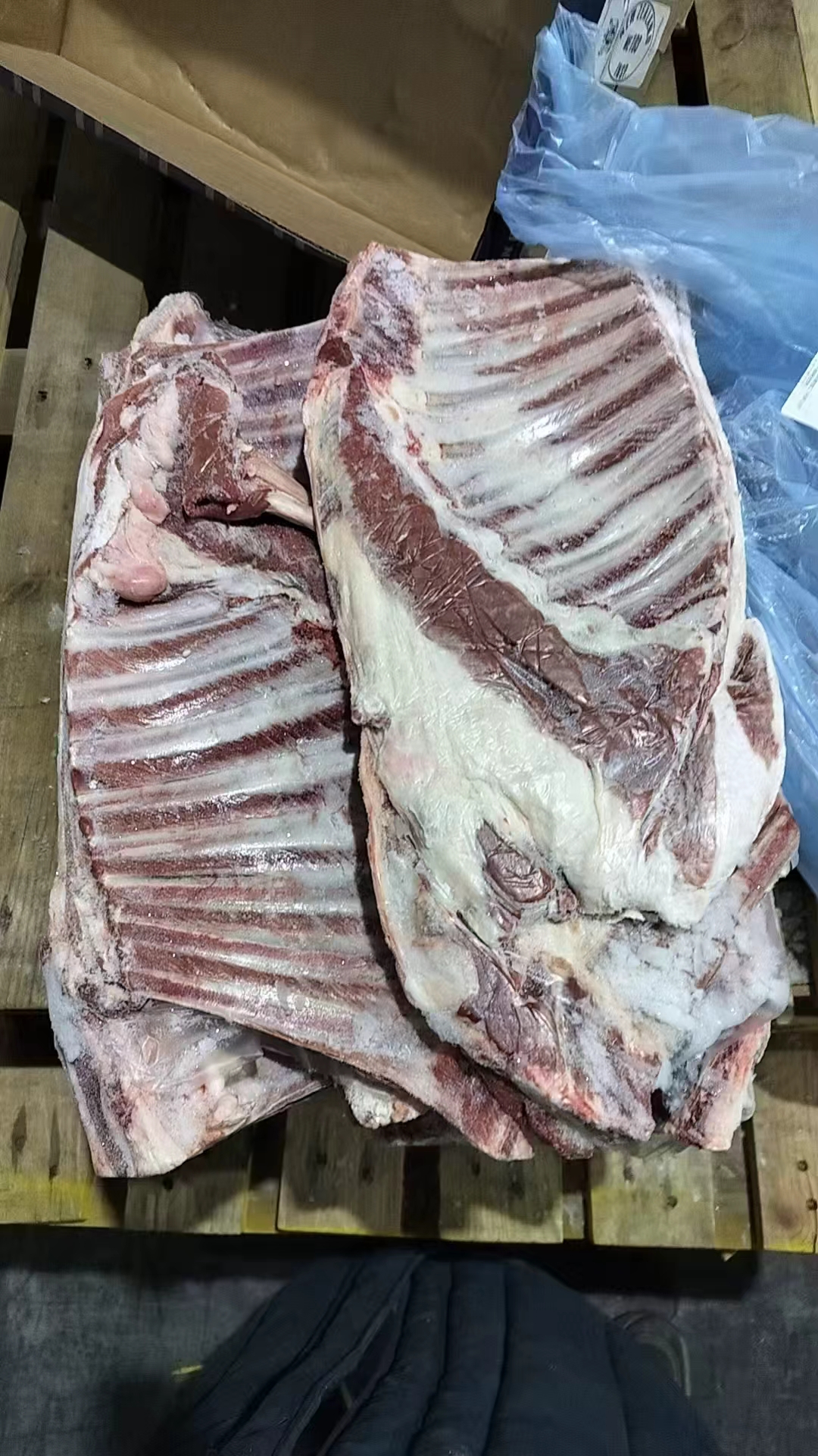 冷冻带骨羔羊排103厂