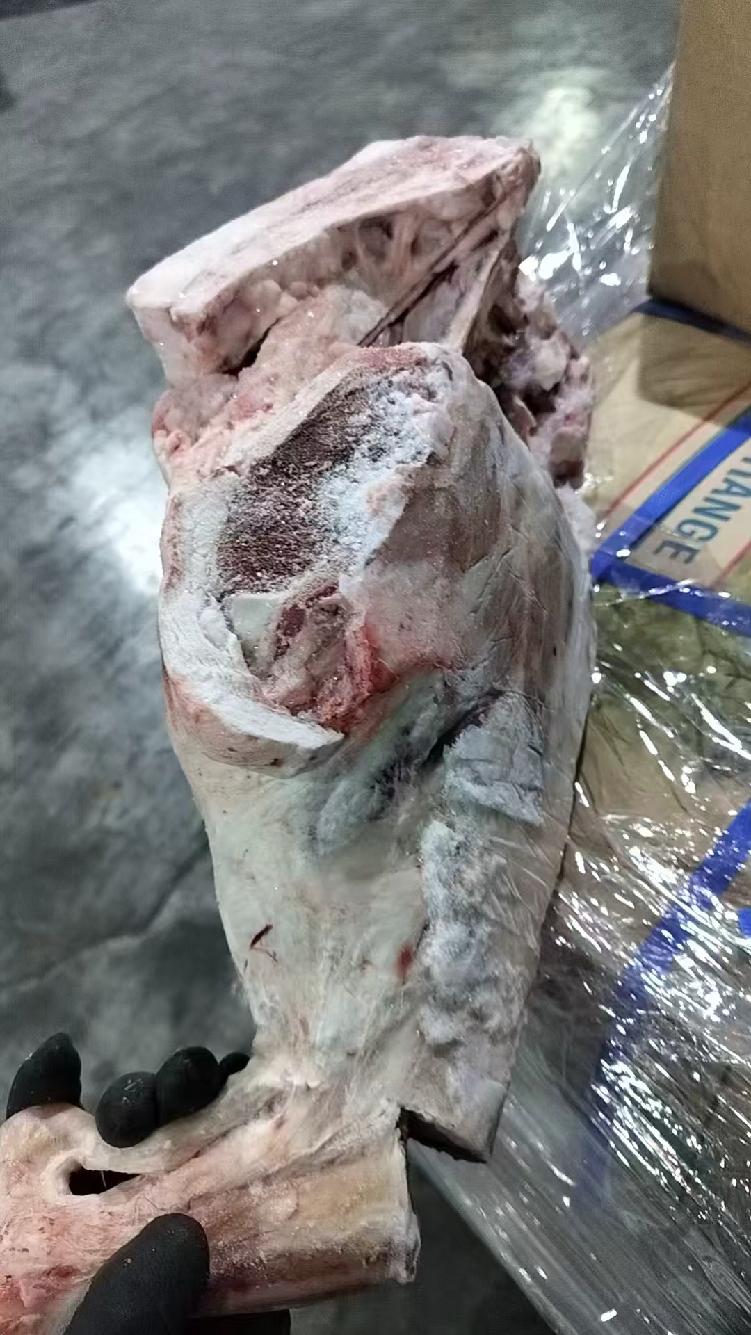 冷冻带骨绵羊腿132厂