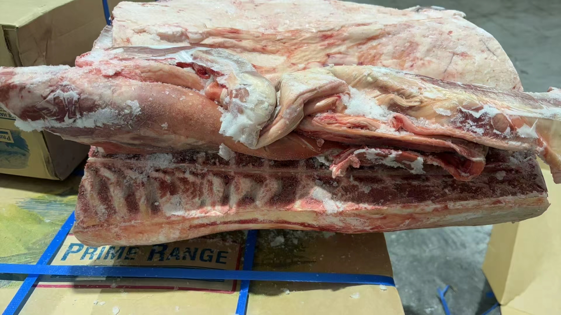 冷冻带骨绵羊腰肌排与腹肋排132厂