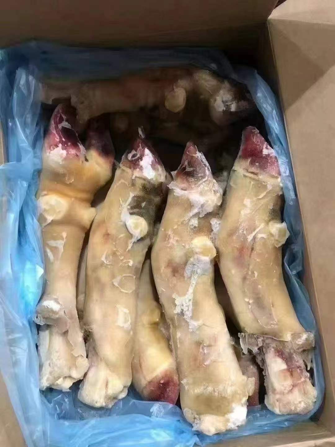 冷冻带骨牛蹄子103厂