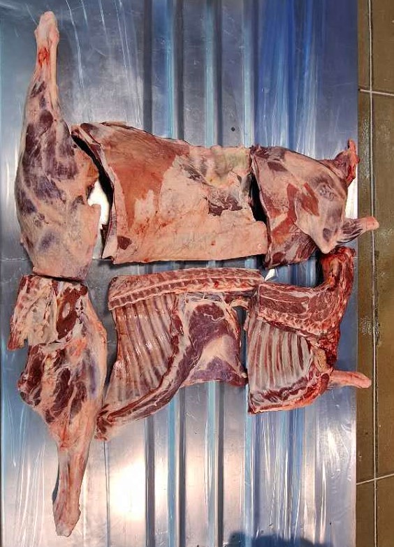 冷冻带骨绵羊六分体132厂