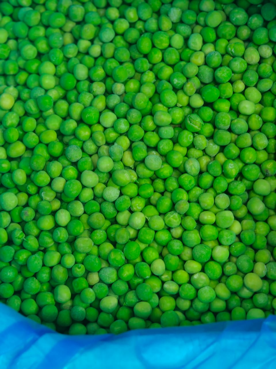 WhatsApp Image 2025-01-05 at 3.35.12 PM.jpeg