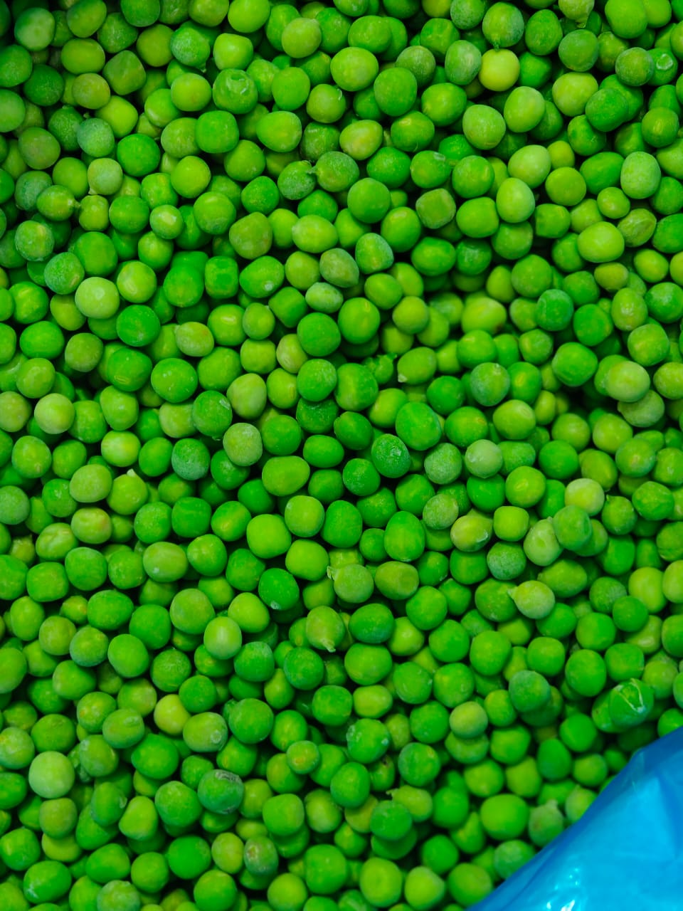 WhatsApp Image 2025-01-05 at 3.35.11 PM.jpeg