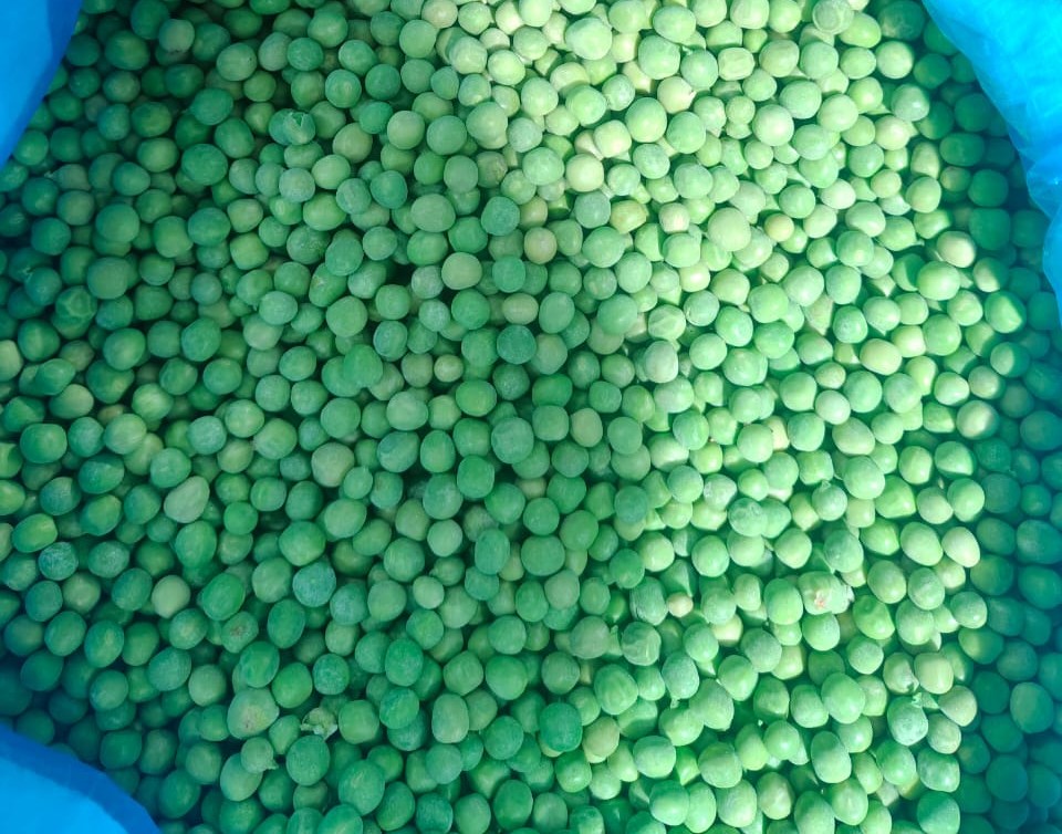 WhatsApp Image 2025-01-05 at 3.35.11 PM (1).jpeg