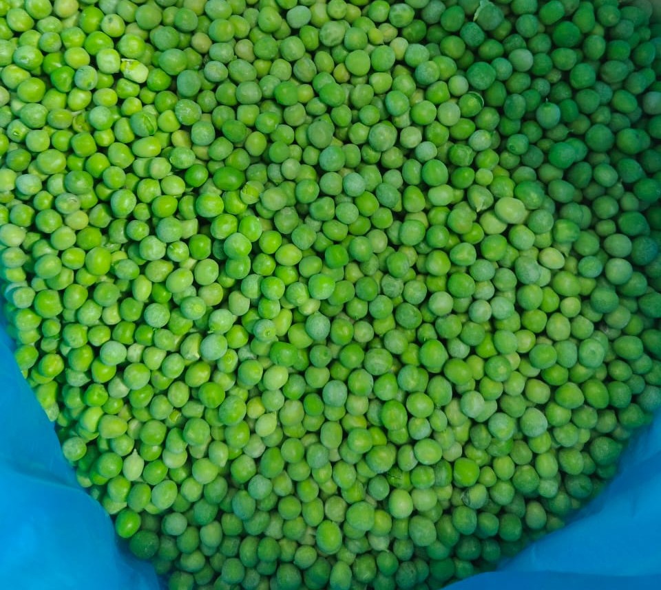 WhatsApp Image 2025-01-05 at 3.35.12 PM (2).jpeg