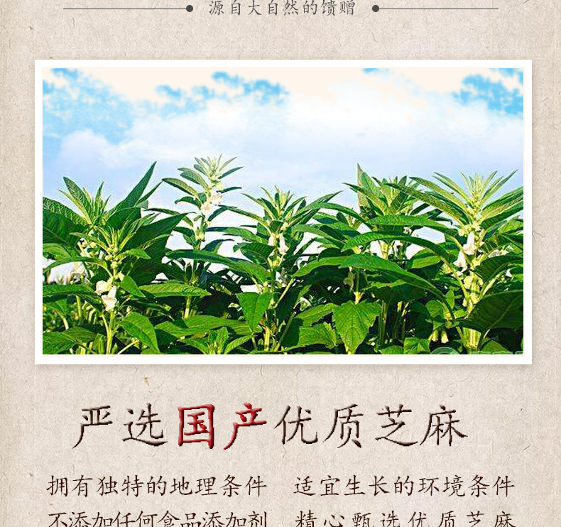 200g黑芝麻 (3).jpg