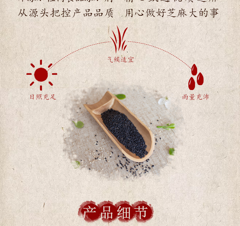 有机黑芝麻 (4).jpg