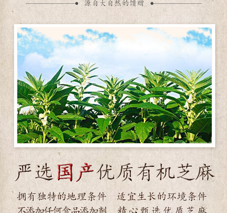 有机黑芝麻 (3).jpg