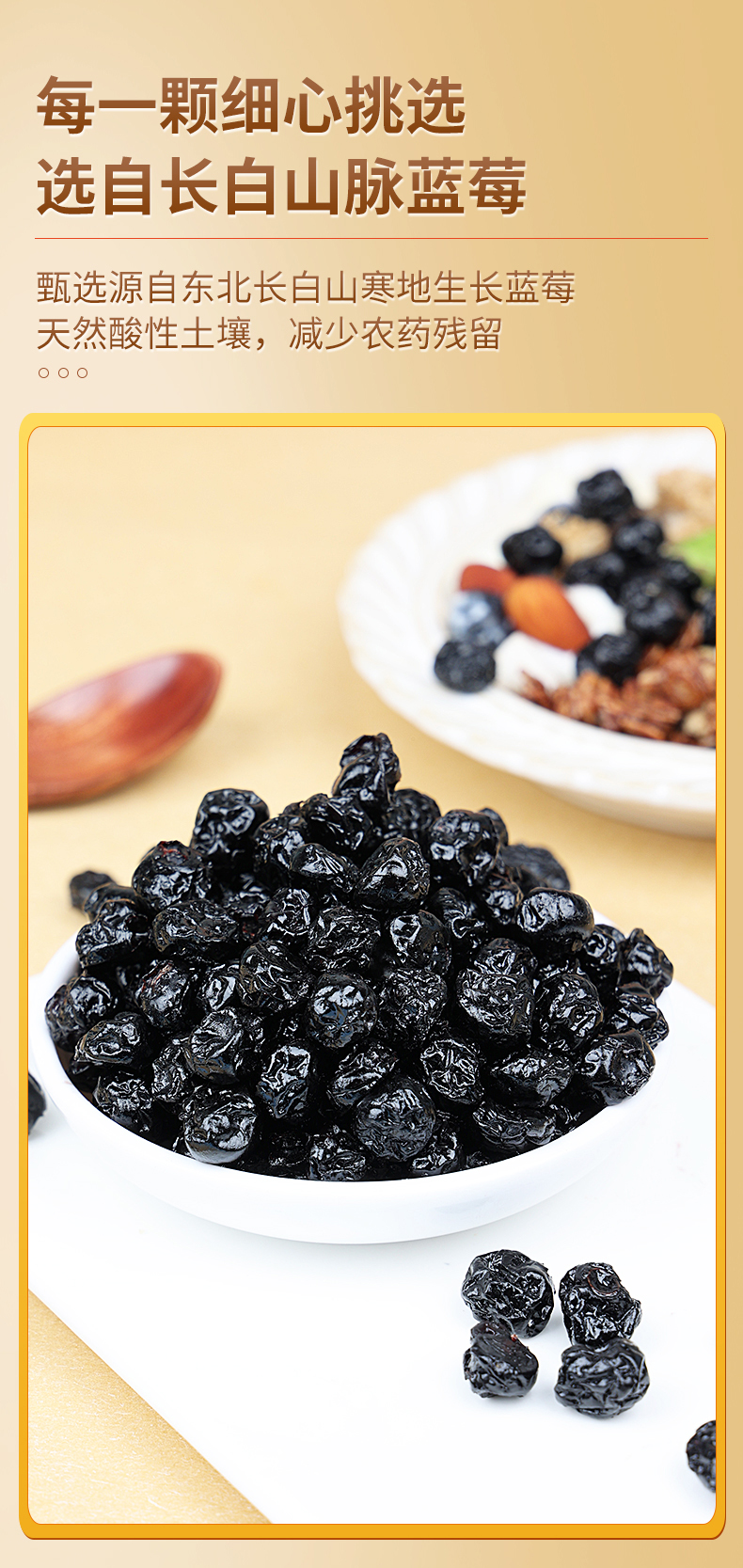 蓝莓3_05.jpg