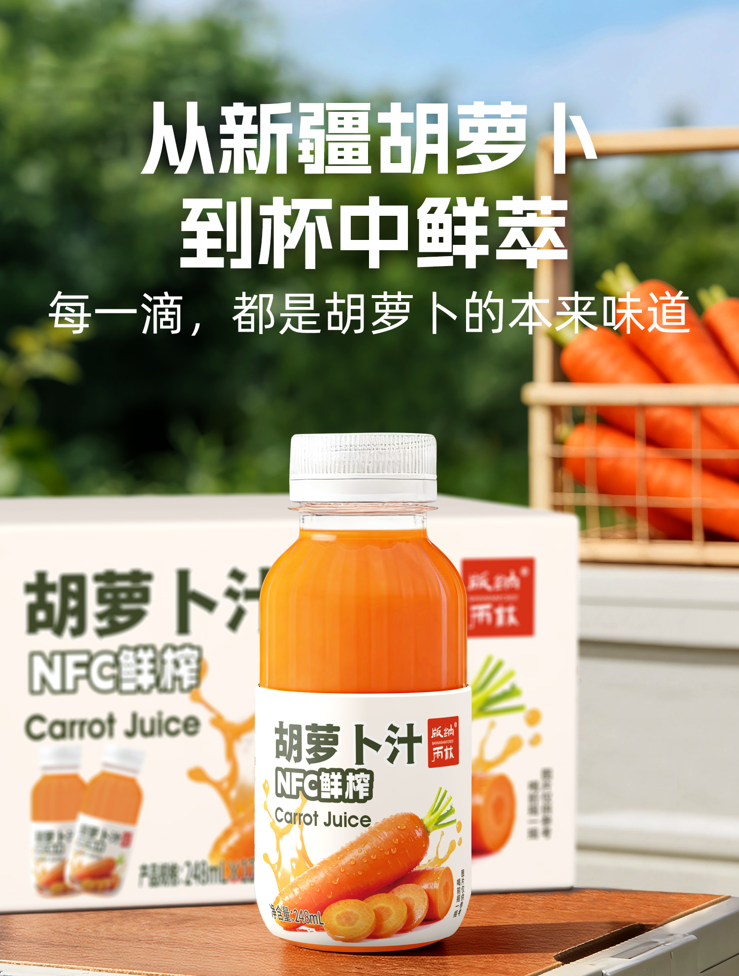 248mL胡萝卜链接_01.jpg
