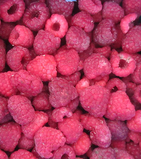 冷凍樹莓