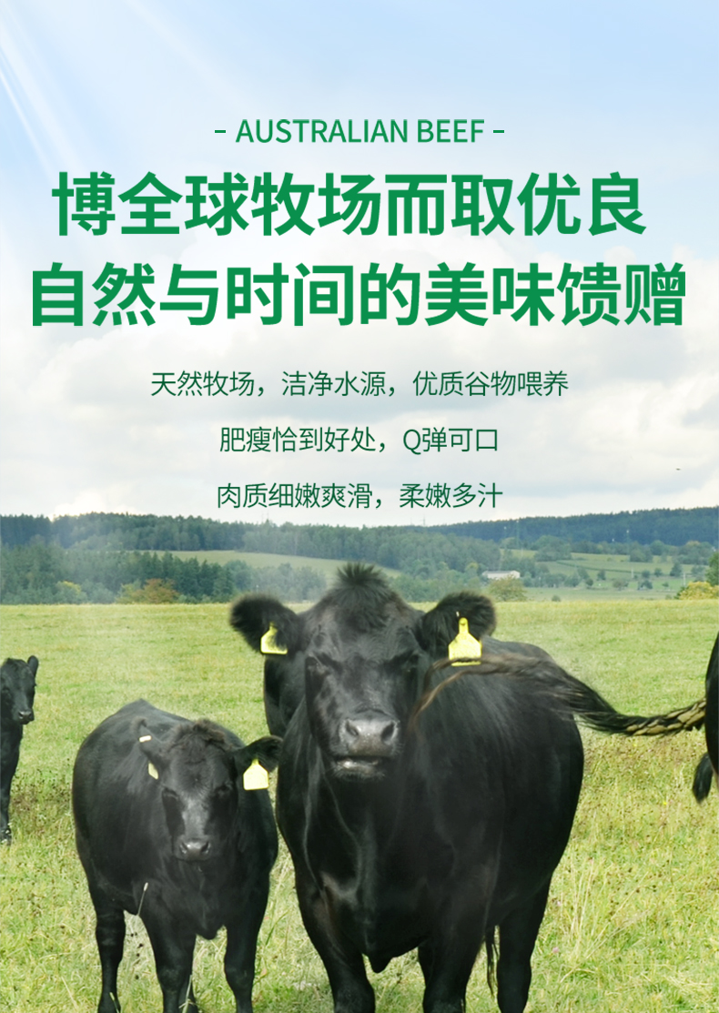 详情-精品牛肉块_05.jpg