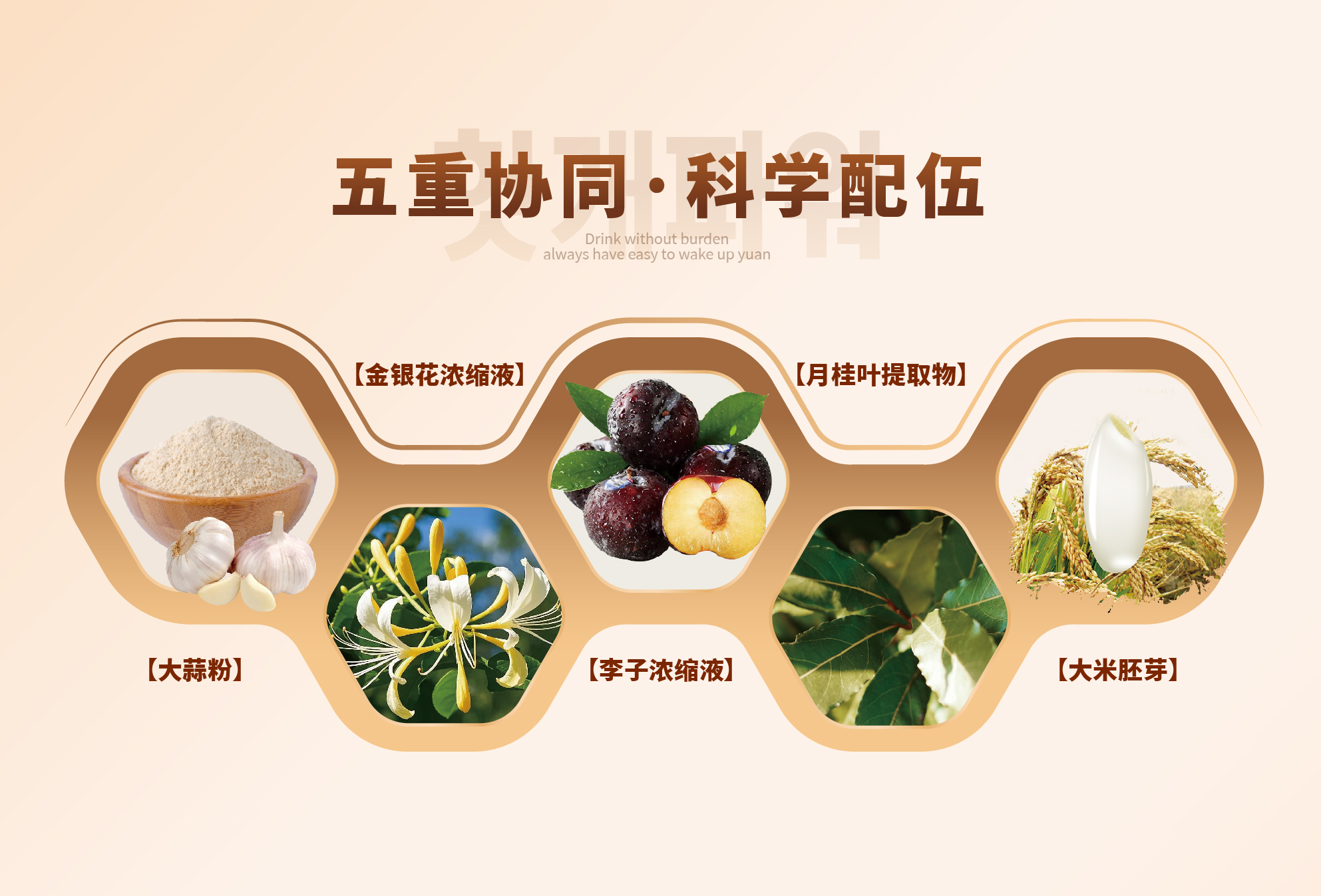 展会用图lo p py+易醒元-14.jpg