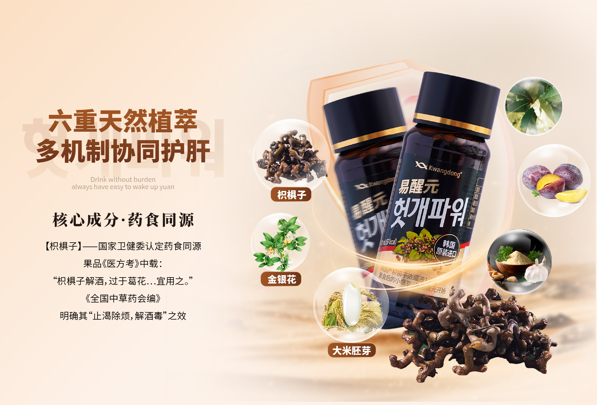 展会用图lo p py+易醒元-13.jpg