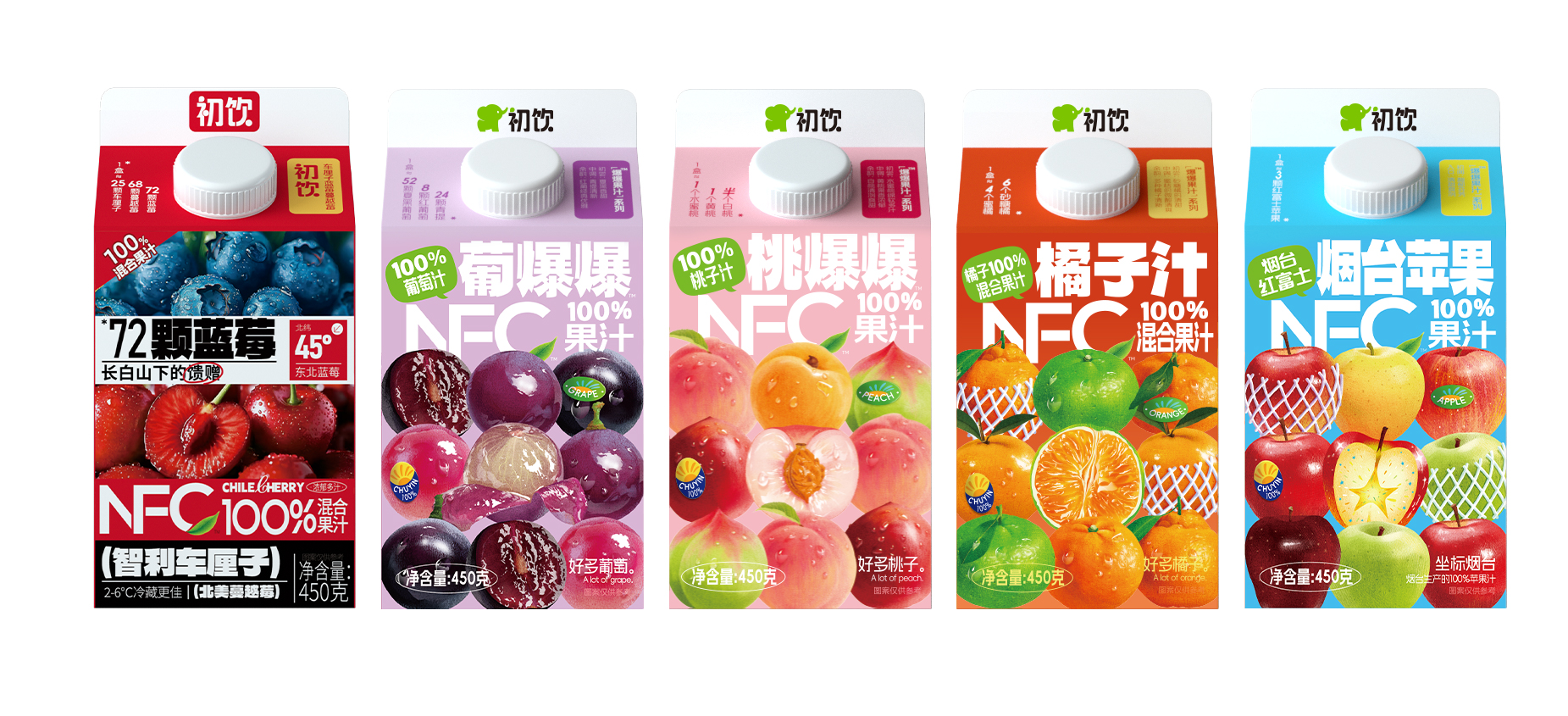 450克屋頂盒果汁系列