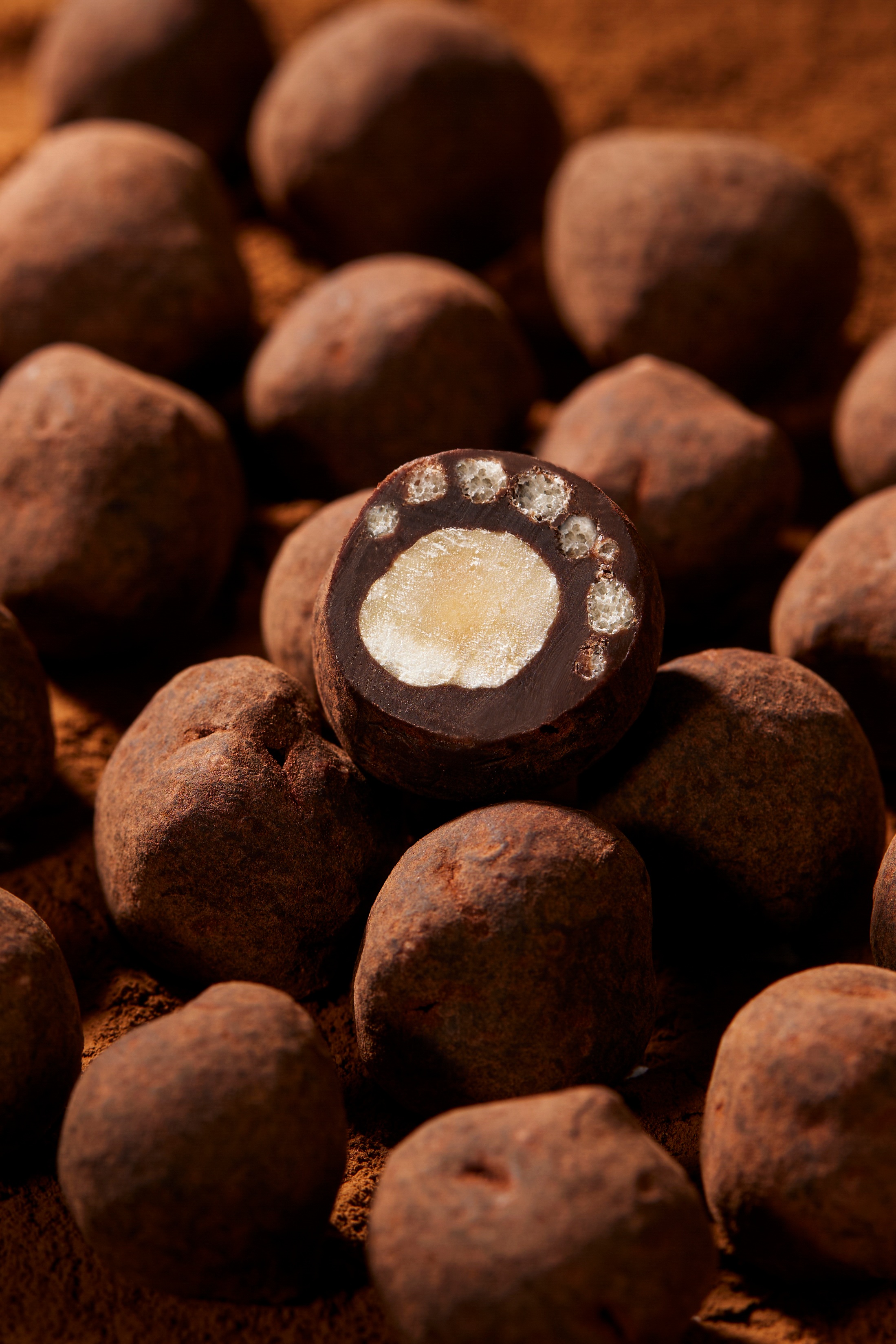 Capture One Catalog28019 拷贝 2.jpg