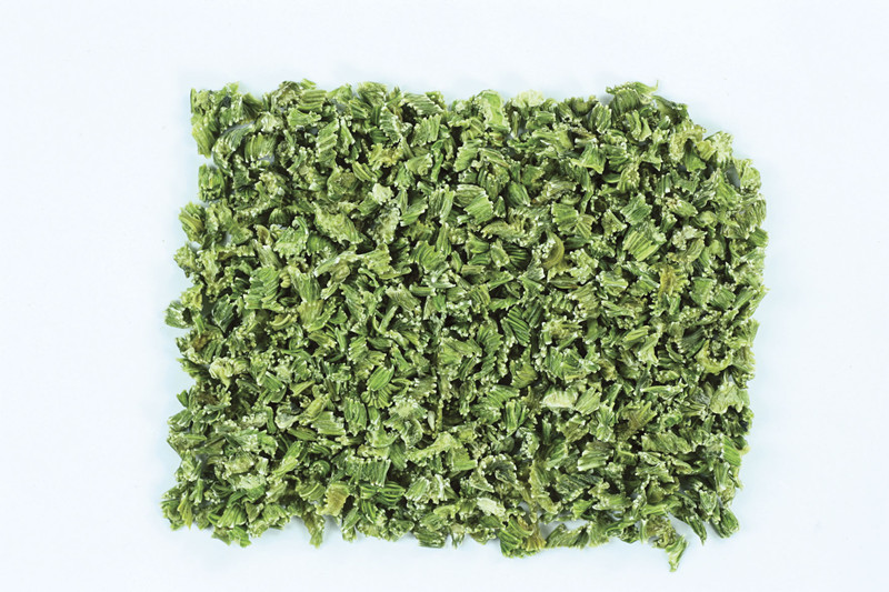 celery 脫水芹菜.jpg