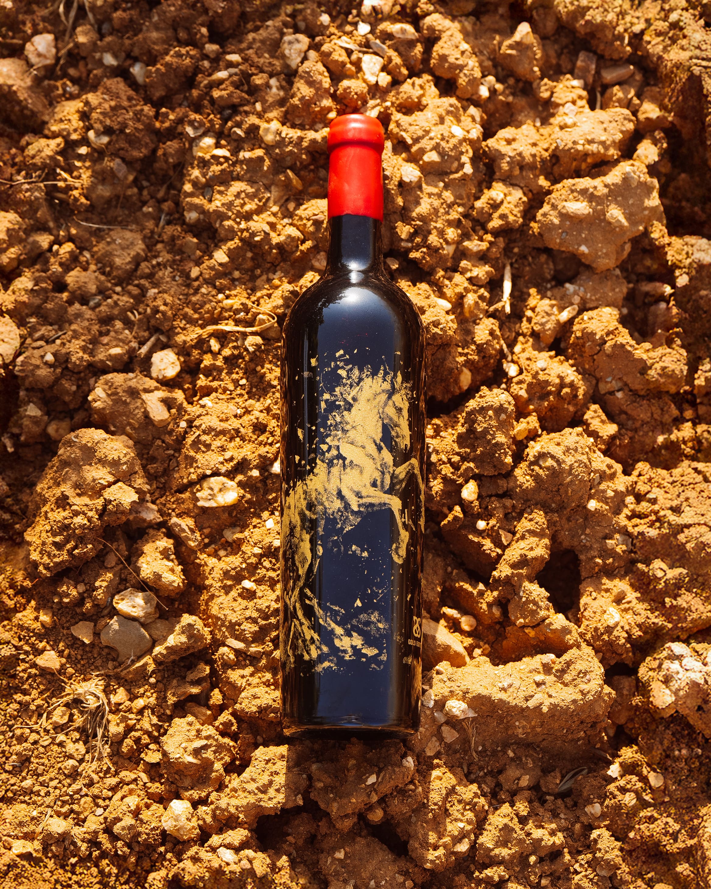 18082025-1-12 (1).jpg