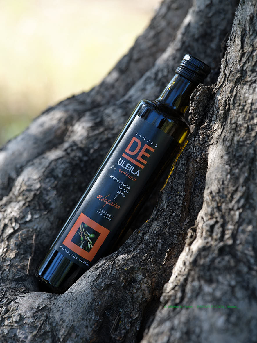 Campos de Uleila Arbequina Organic