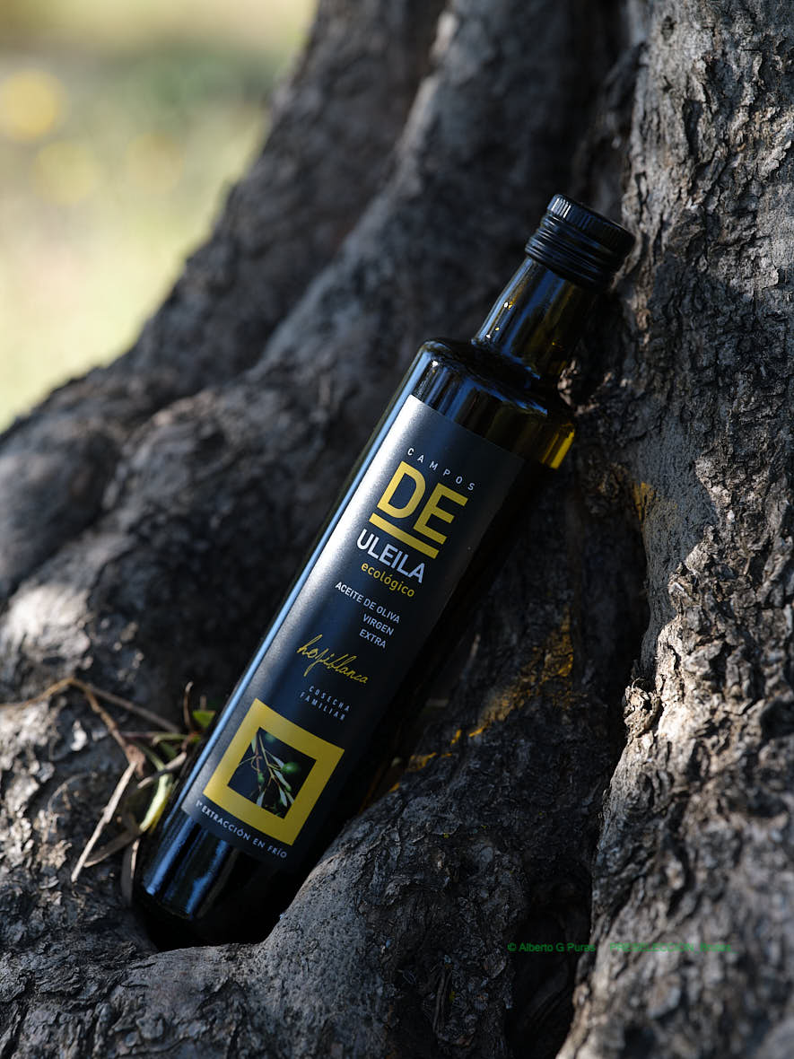 Campos de Uleila Hojiblanca