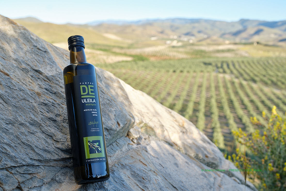 Coupage piedra_AGP2180.jpg