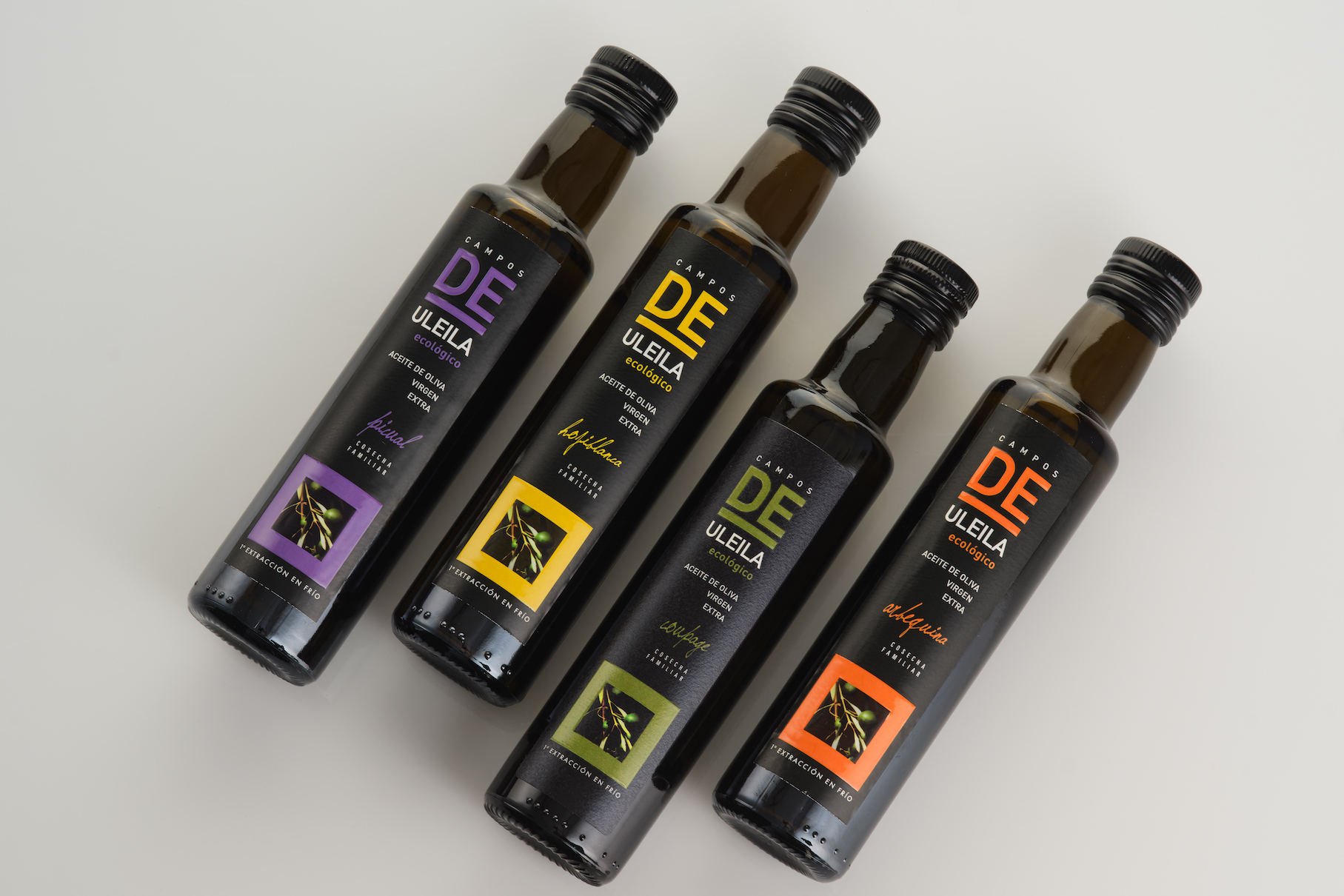 BODEGóN CDU AGP-A_Uleila-5679 - LR.jpg