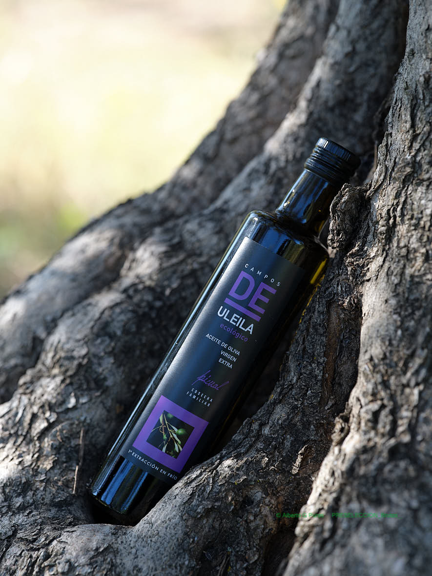 Campos de Uleila Picual