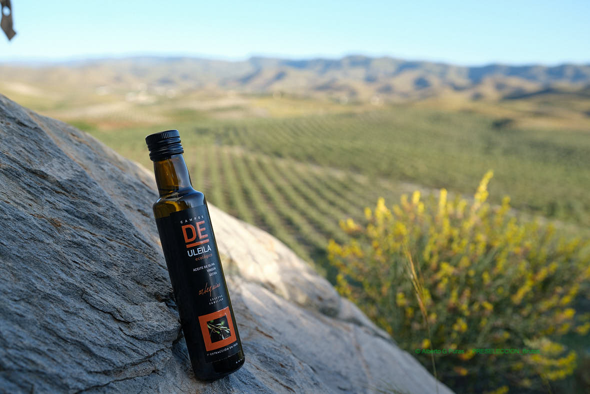 Arbequina piedra_AGP2187.jpg