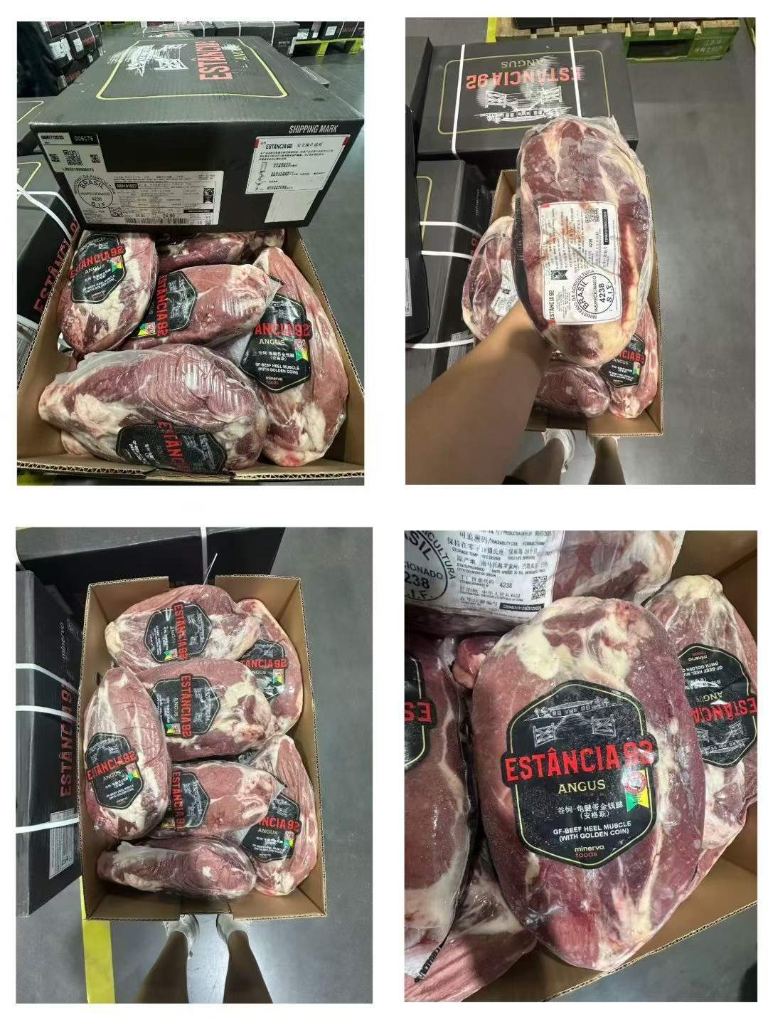 巴西4238安格斯龜腱金錢腱