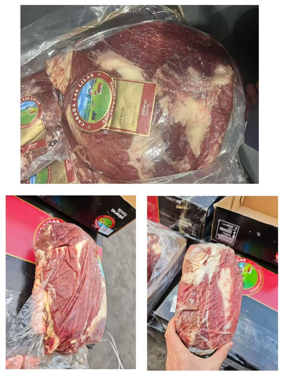 阿根廷1373谷飼上腦心