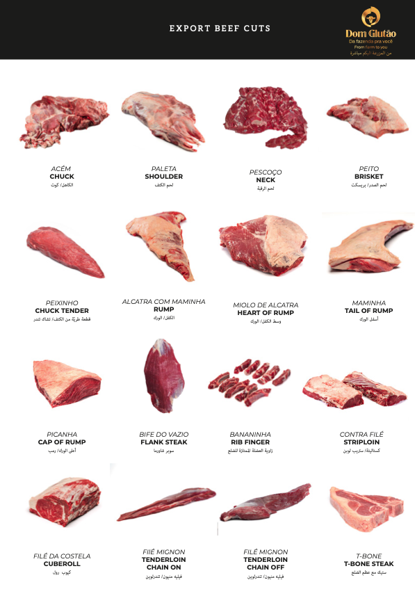 Captura de Tela 2026-04-20 a?s 10.45.20.png