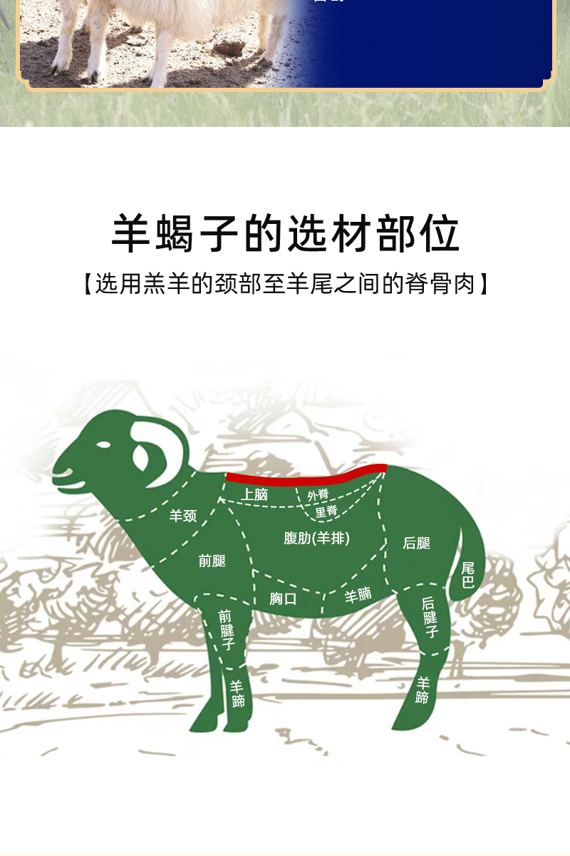 羊蝎子詳情_04.jpg