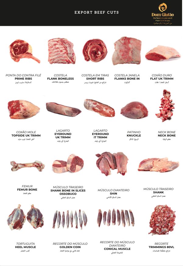 Captura de Tela 2026-04-20 a?s 10.45.28.png