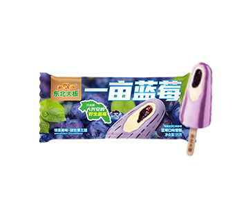 紅寶石東北大板一畝藍莓藍莓口味雪糕