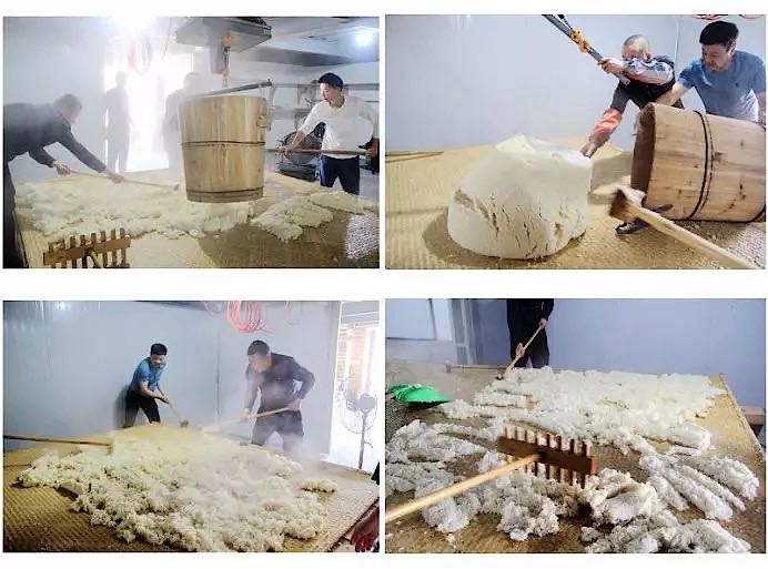 黃酒釀造工序4-打散降溫.jpg