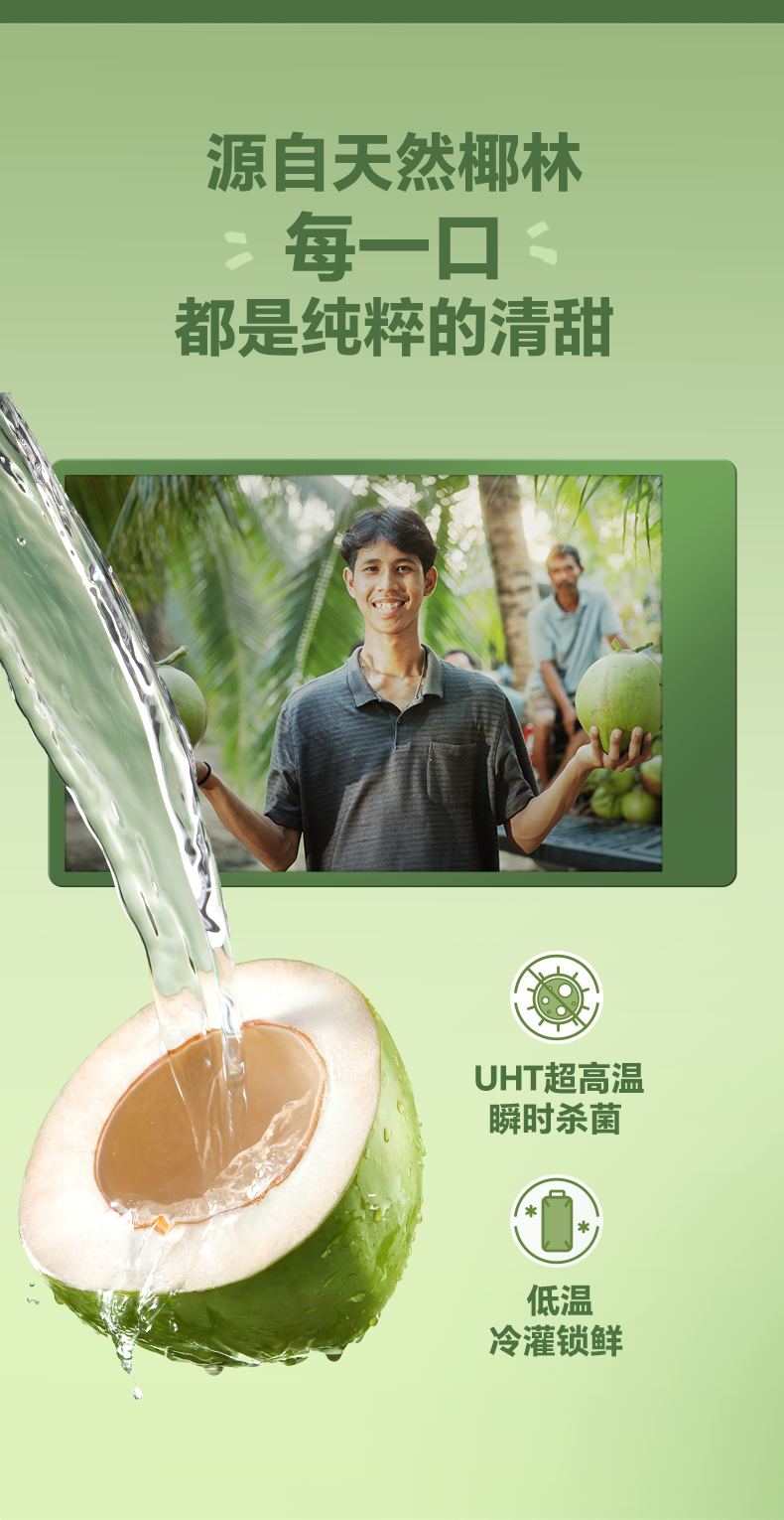椰子水飲料_02.png