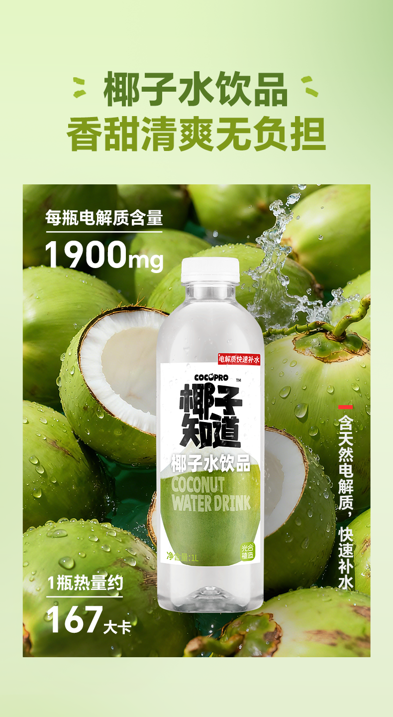 椰子水飲料_03.png