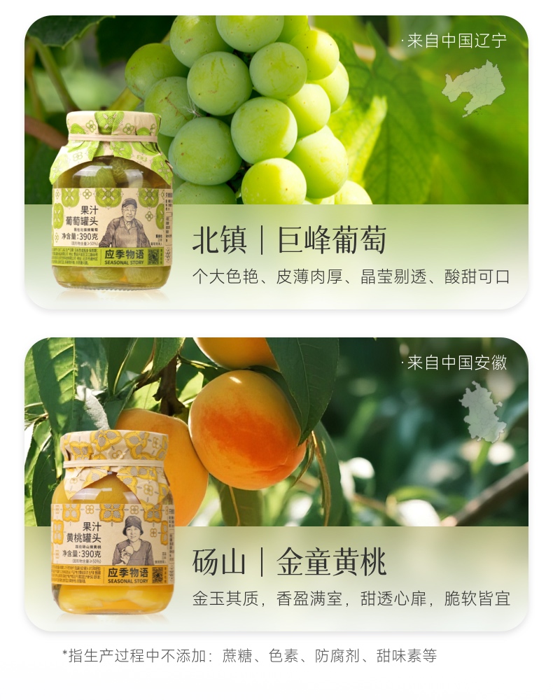 枇杷溯源1-6.jpg