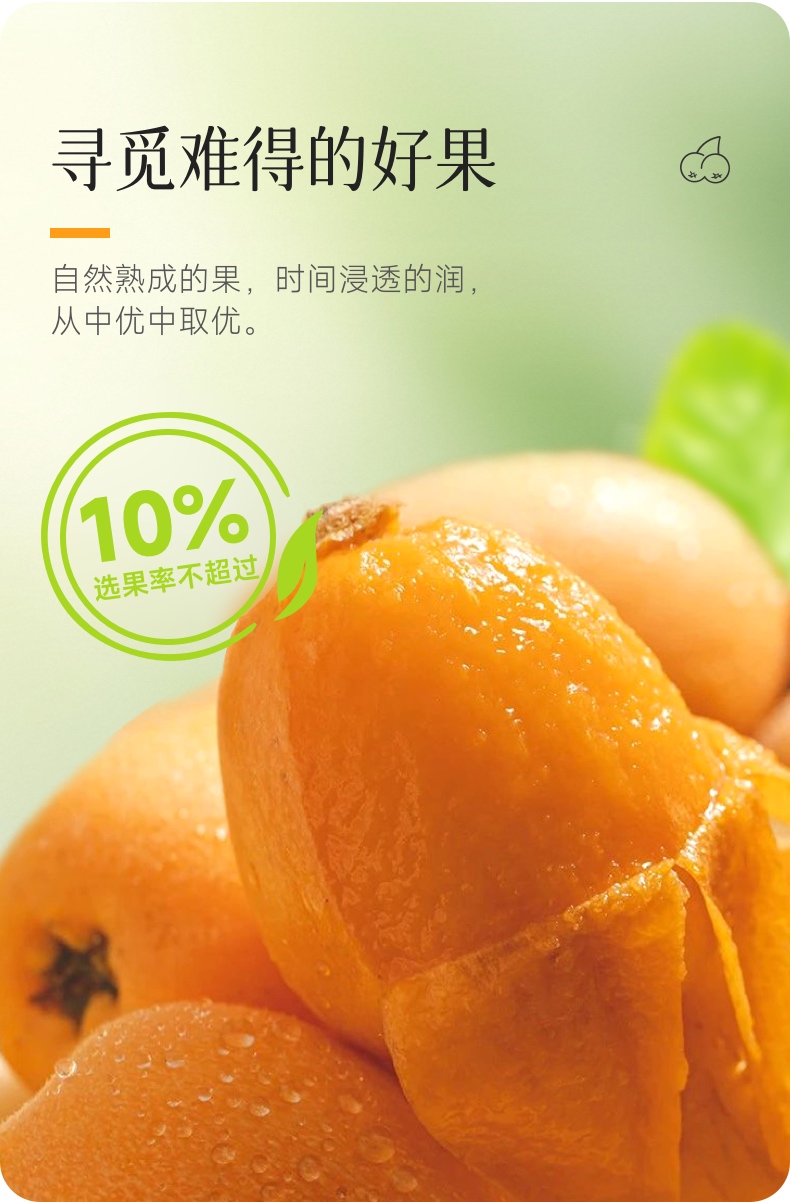 枇杷溯源1-4.jpg