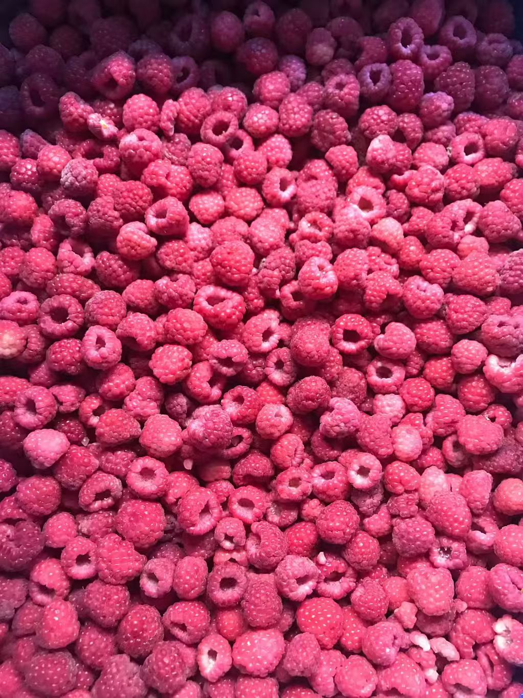 冷凍樹莓