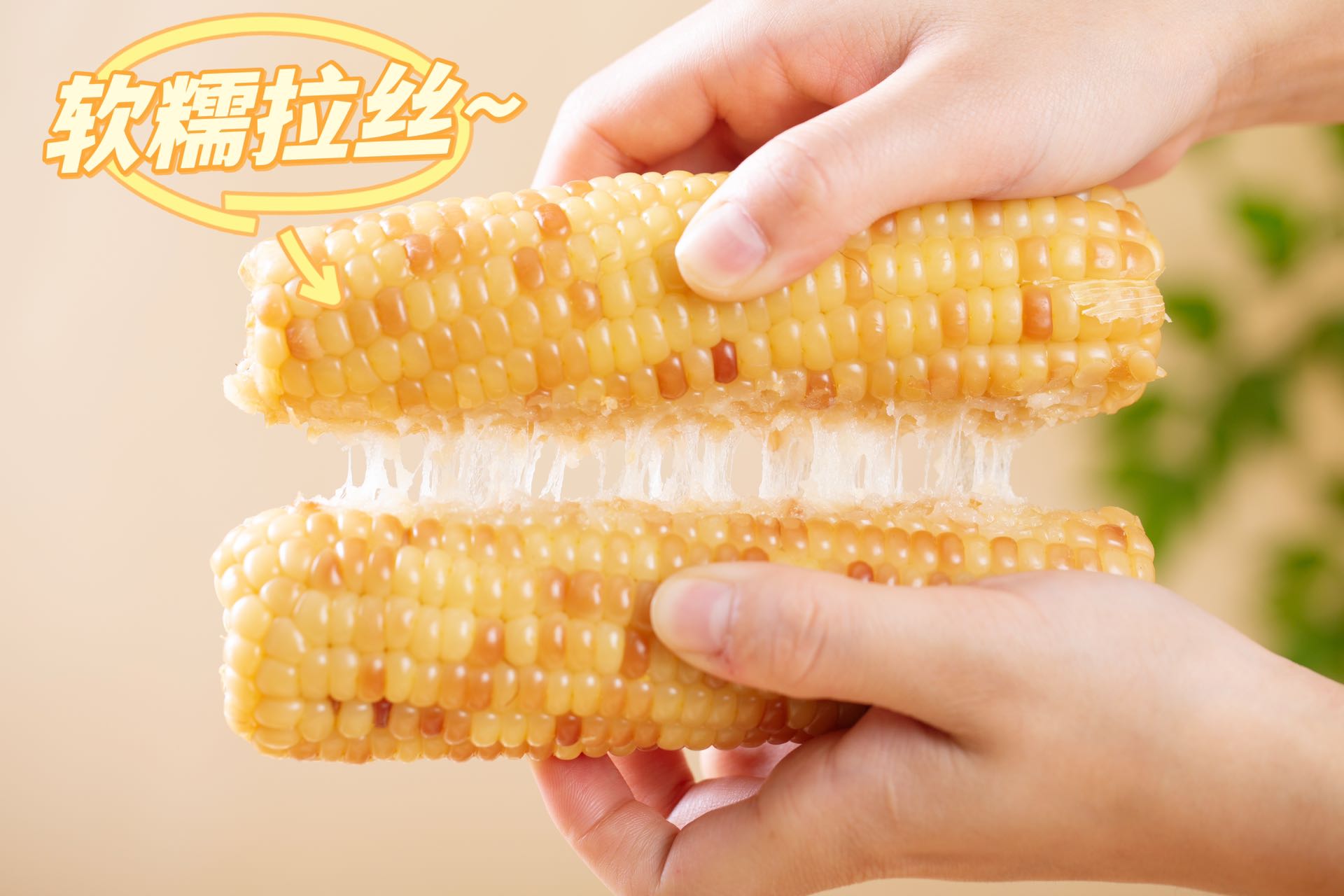 微信圖片_20240705120118.jpg