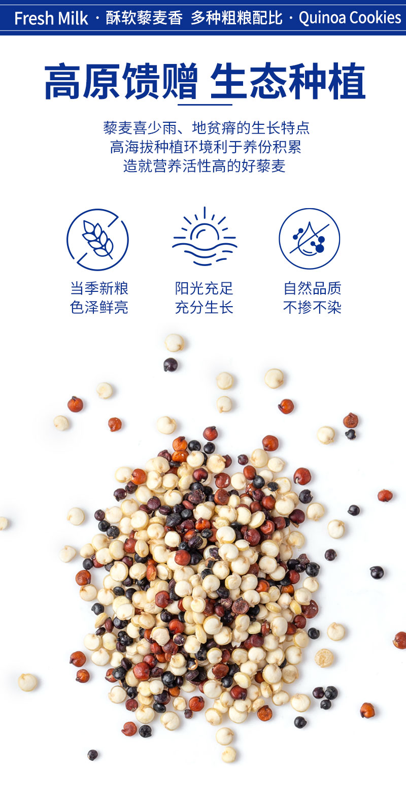 藜麥餅干_03 15.07.32.jpg