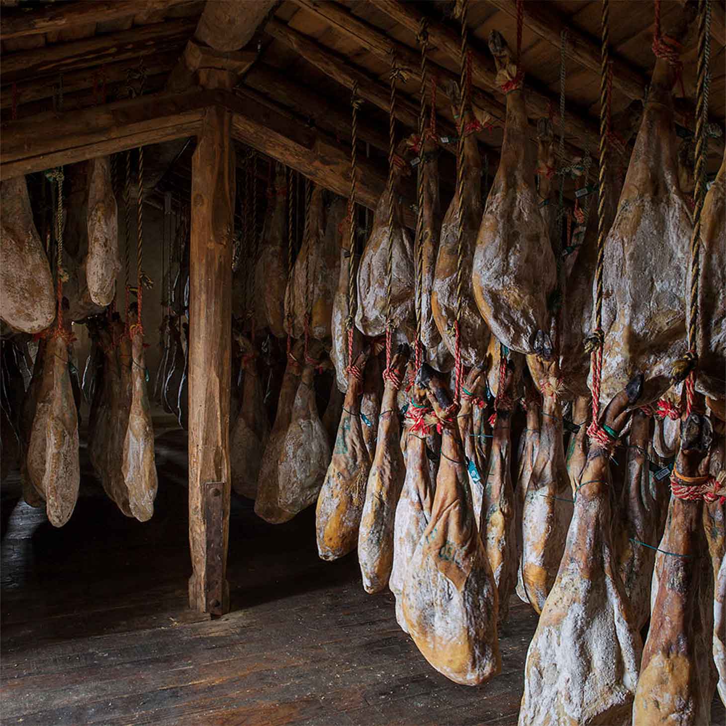 伊比利亞橡果火腿