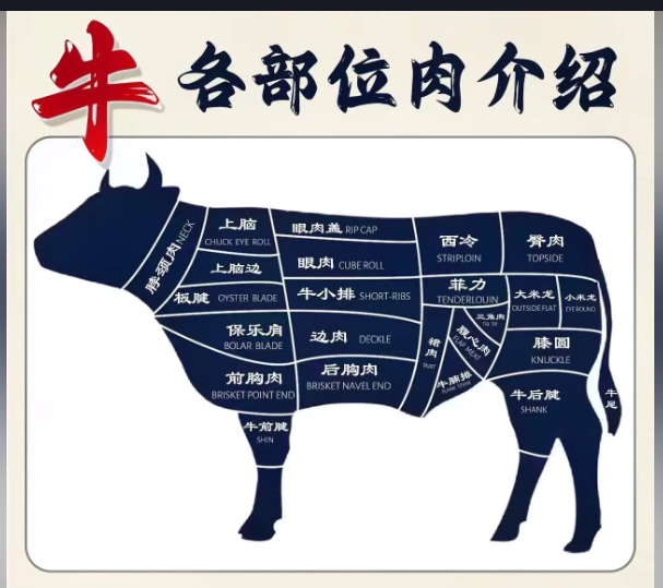 冷凍進口肉類代理